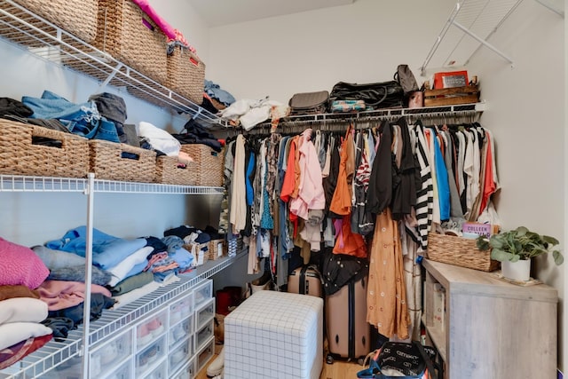 view of walk in closet