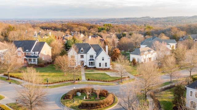 bird's eye view