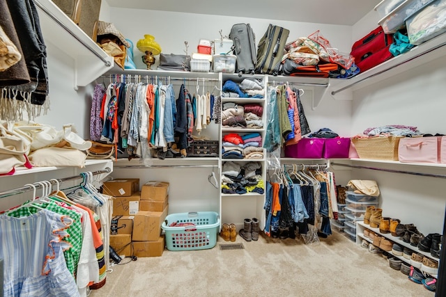 spacious closet featuring carpet flooring