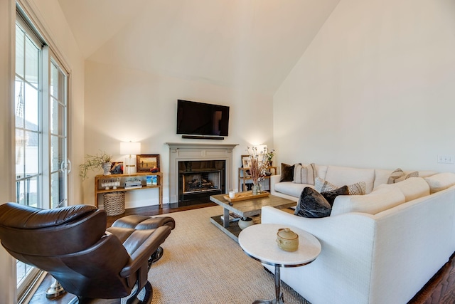 living room with vaulted ceiling and wood-type flooring