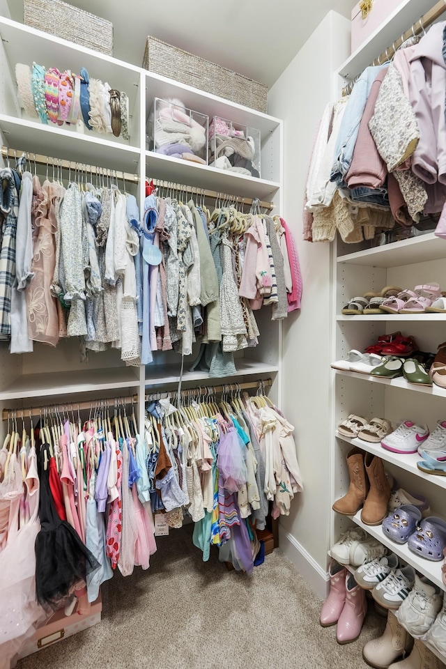 spacious closet featuring carpet