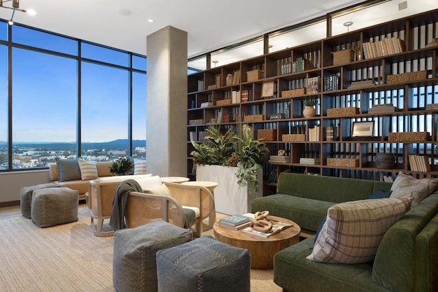 living area with a mountain view