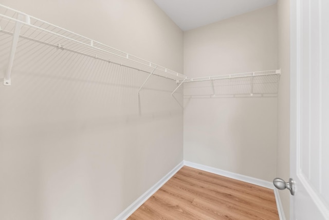 walk in closet featuring wood-type flooring