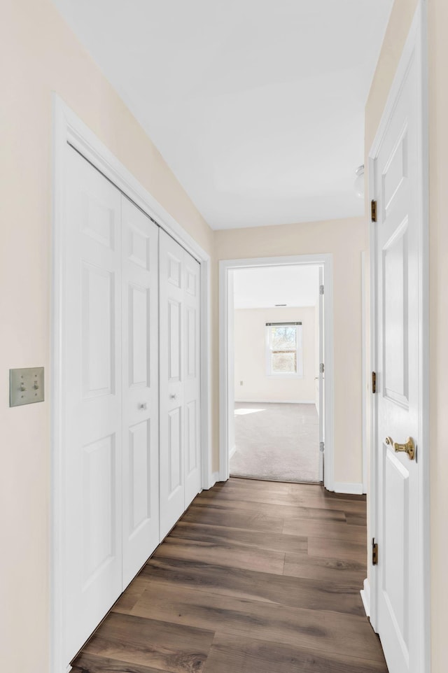 hallway featuring dark wood-type flooring