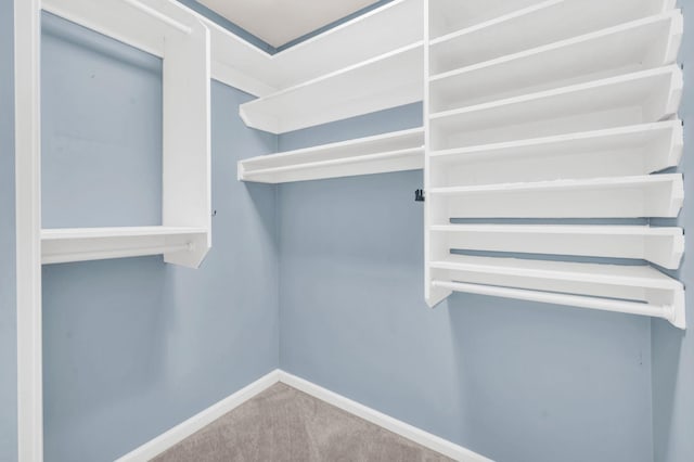 spacious closet with carpet floors