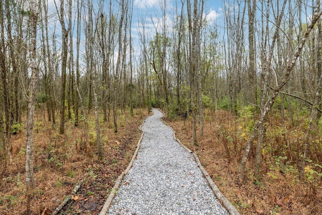 view of road