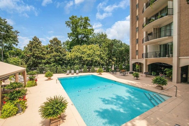 view of pool featuring a patio area