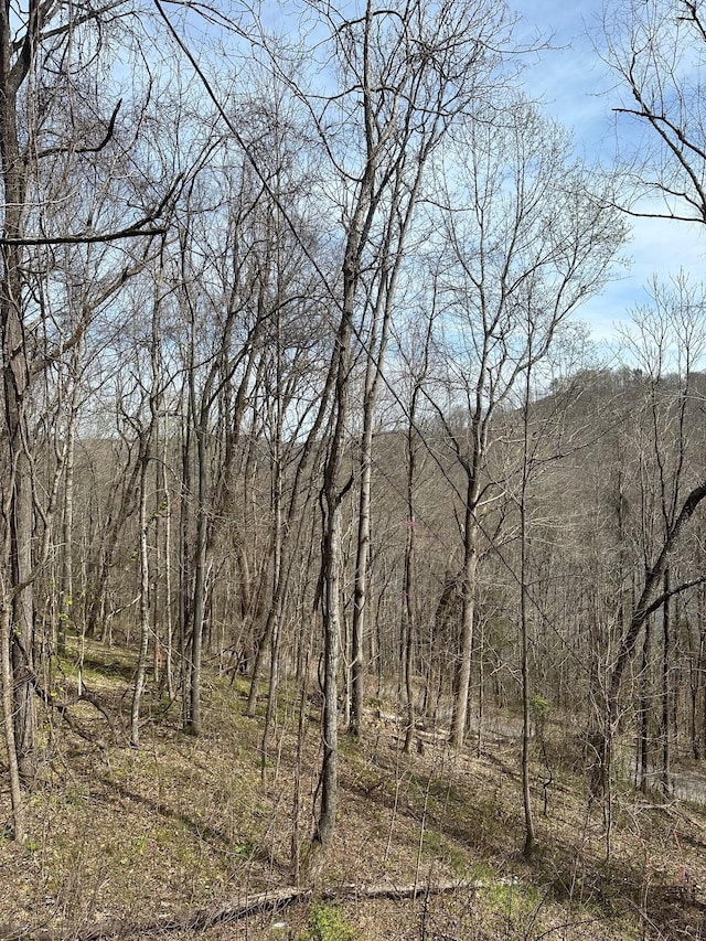 view of local wilderness