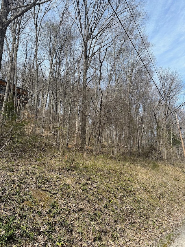 view of local wilderness