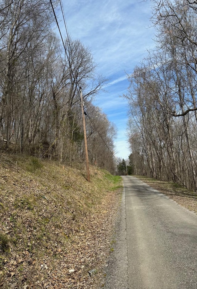 view of road