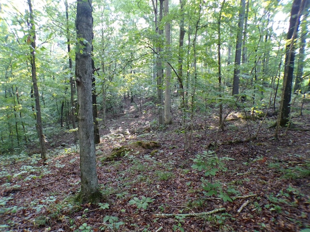 0 Lylewood Rd, Woodlawn TN 37191 LAND for sale