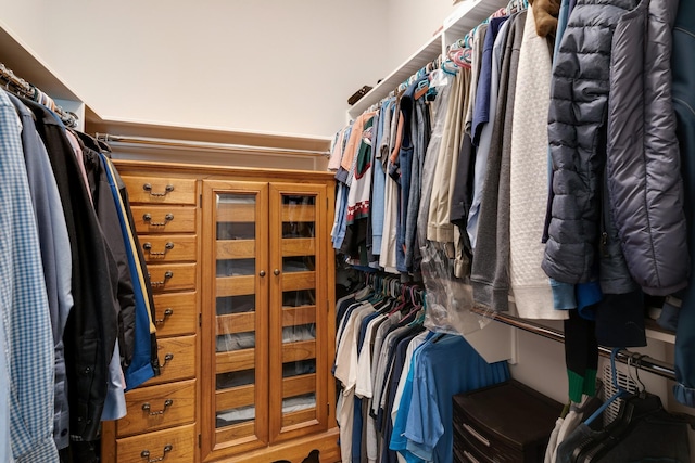 view of spacious closet