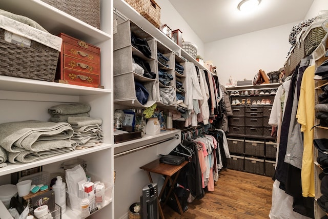 walk in closet with hardwood / wood-style flooring