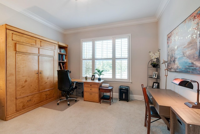 carpeted office with crown molding