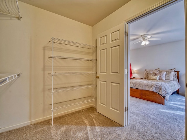 spacious closet with ceiling fan and carpet floors