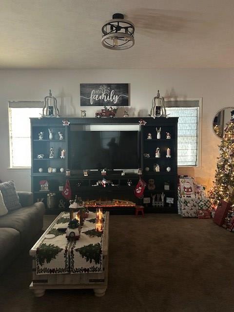 living room with carpet floors