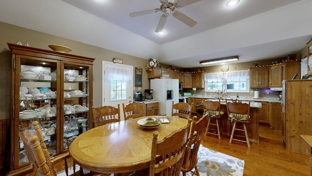 dining area featuring ceiling fan and light wood-type flooring