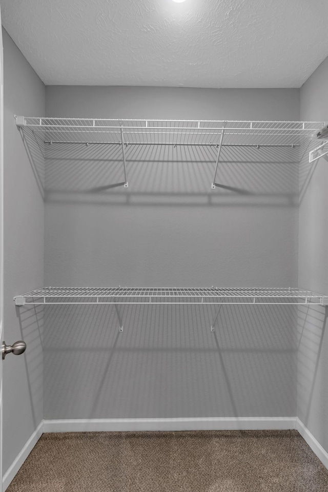 walk in closet with carpet