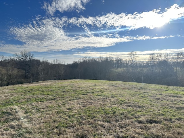 Listing photo 2 for 0 Marys Ln, Lafayette TN 37083