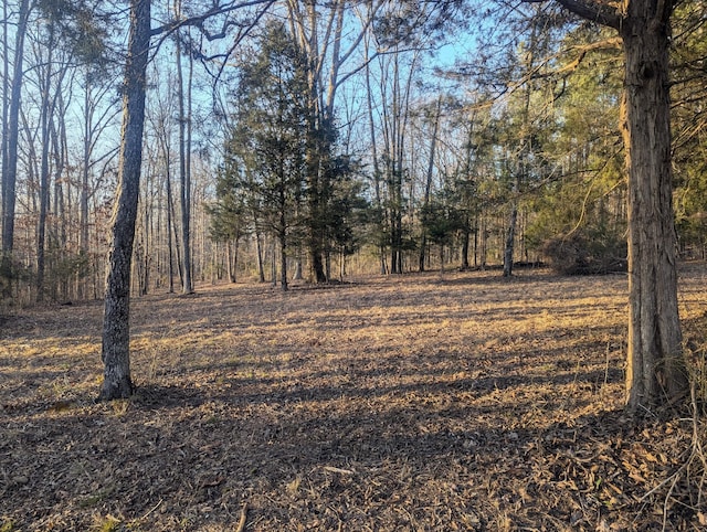 0 New Sheboss Rd, Duck River TN 38454 LAND for sale