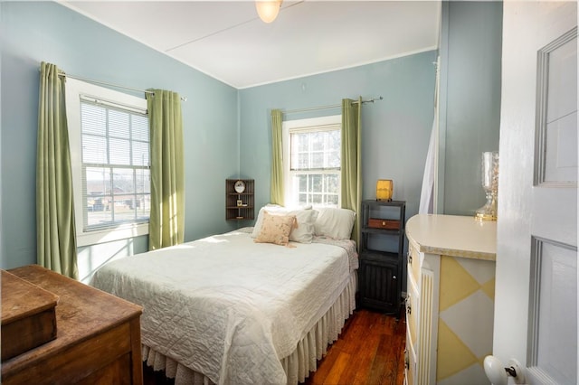 bedroom featuring dark wood-type flooring