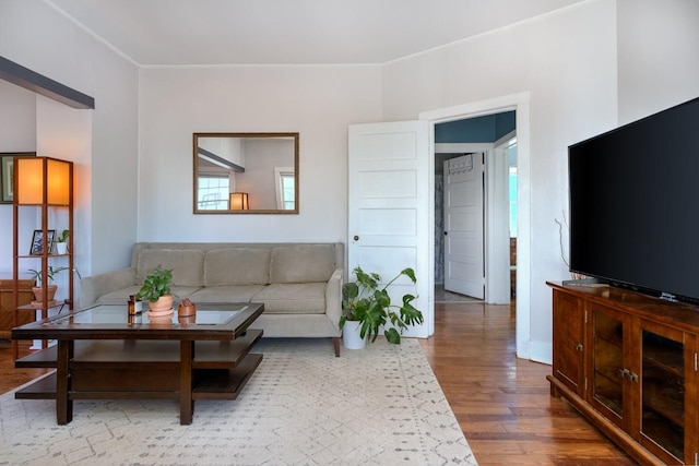 living room featuring wood-type flooring