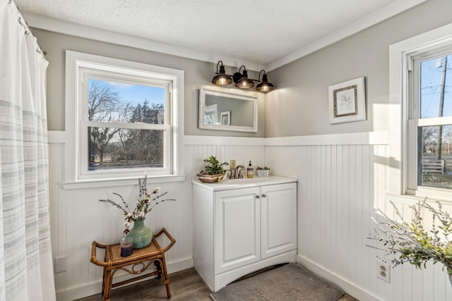 bathroom featuring wood-type flooring and vanity