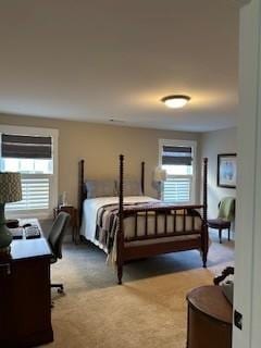 bedroom featuring multiple windows and carpet flooring