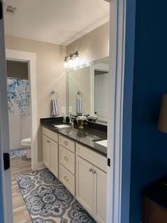 bathroom featuring toilet and vanity