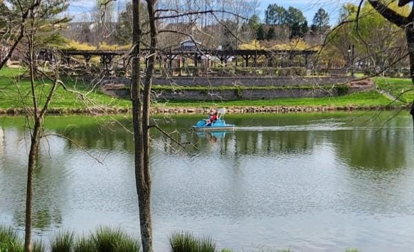 water view