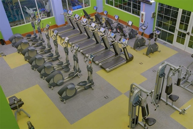 workout area featuring carpet flooring