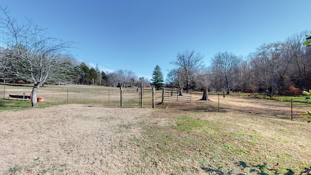 view of yard with a rural view