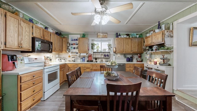 kitchen with hardwood / wood-style flooring, sink, white electric range oven, and ceiling fan