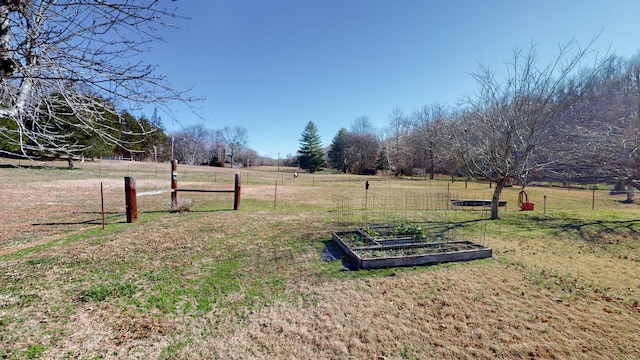 view of yard with a rural view