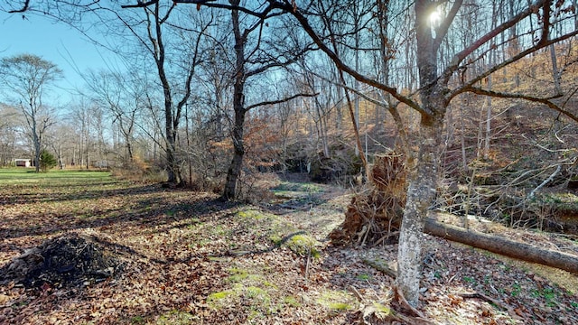 view of local wilderness