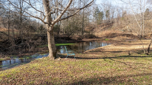 property view of water