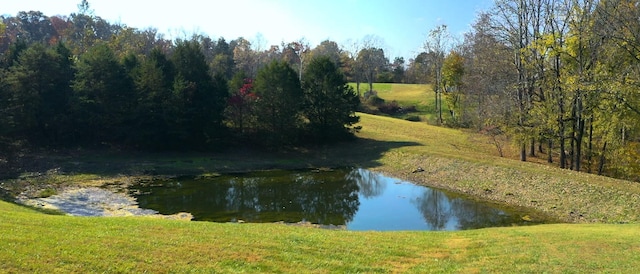 view of water feature