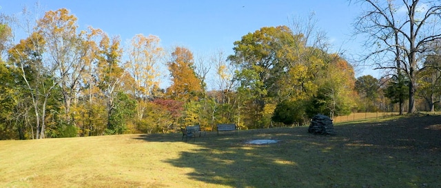 view of yard