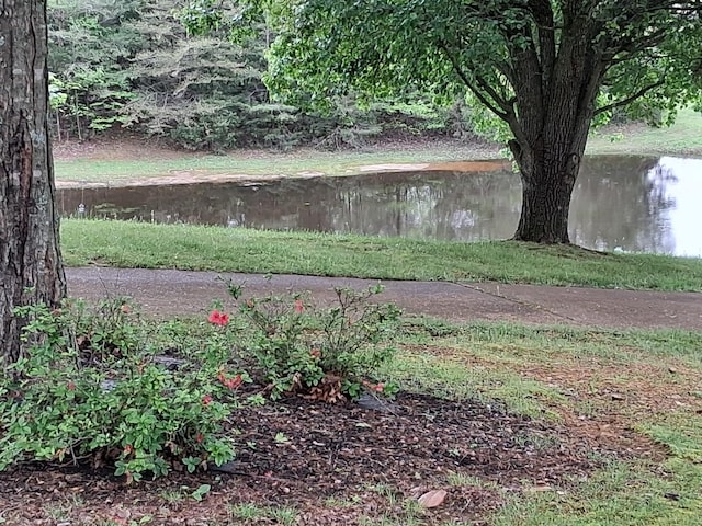1253 White Rd, Bon Aqua, TN 37025 - view of yard with a water view