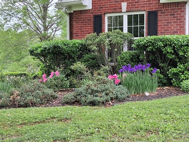 1253 White Rd, Bon Aqua, TN 37025 - view of yard