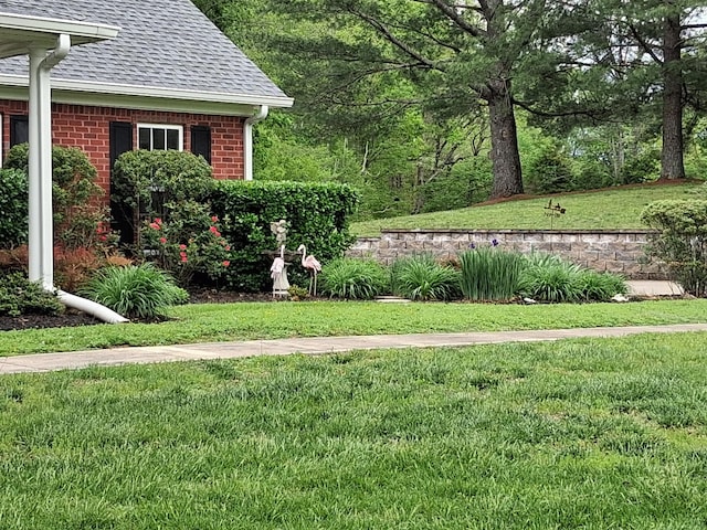 1253 White Rd, Bon Aqua, TN 37025 - view of yard