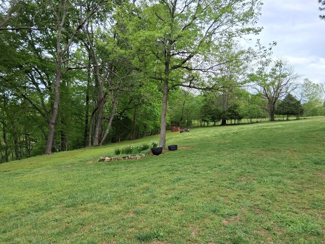 1253 White Rd, Bon Aqua, TN 37025 - view of yard