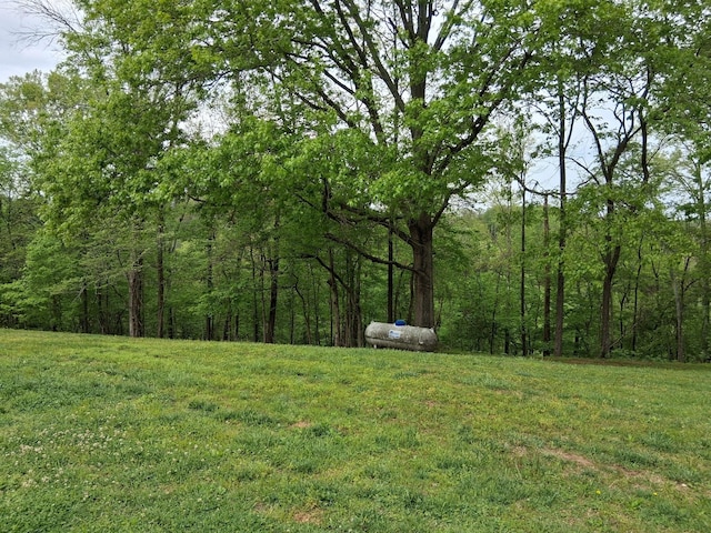 1253 White Rd, Bon Aqua, TN 37025 - view of yard with a view of trees