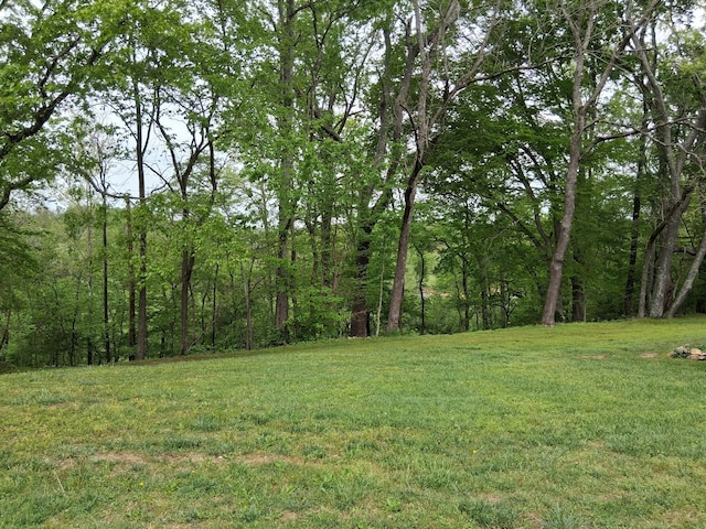 1253 White Rd, Bon Aqua, TN 37025 - view of yard with a view of trees