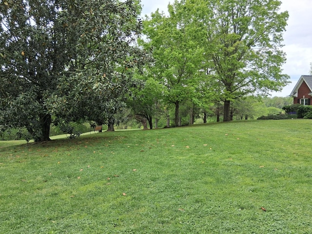 1253 White Rd, Bon Aqua, TN 37025 - view of yard