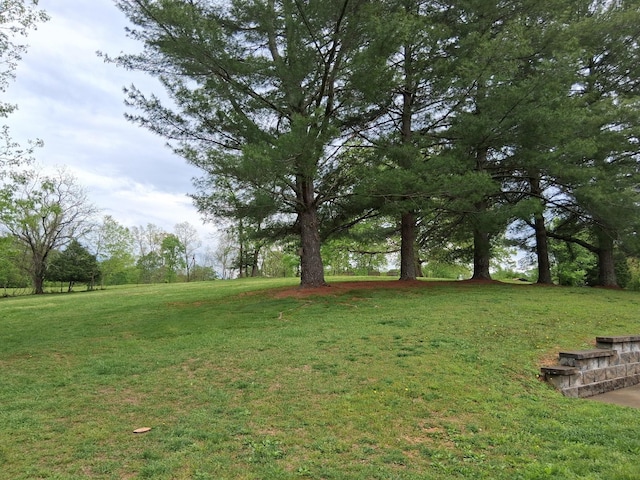 1253 White Rd, Bon Aqua, TN 37025 - view of yard