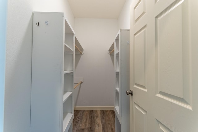 spacious closet featuring dark hardwood / wood-style floors