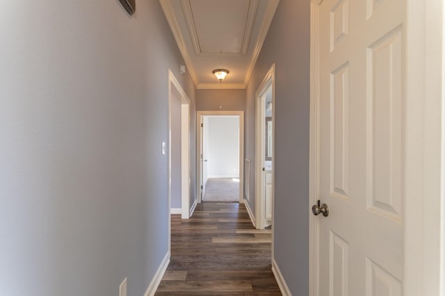 corridor featuring dark hardwood / wood-style floors and crown molding