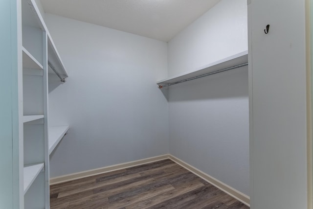 walk in closet featuring dark hardwood / wood-style floors