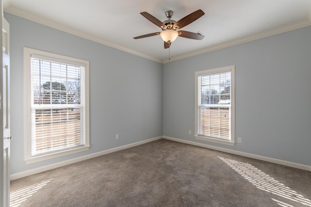 unfurnished room with ceiling fan, crown molding, and carpet floors